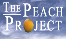 Peach Project